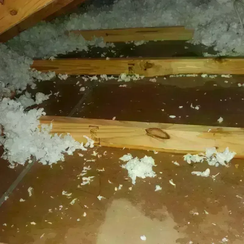 Attic Water Damage in Rainier, OR