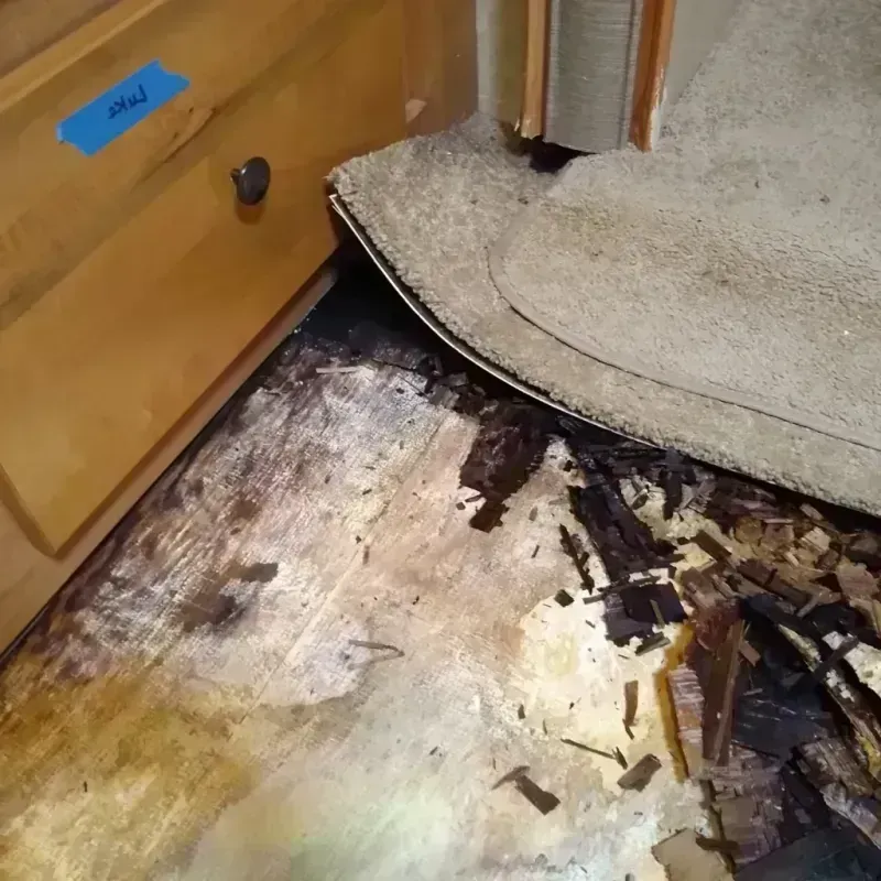 Wood Floor Water Damage in Rainier, OR